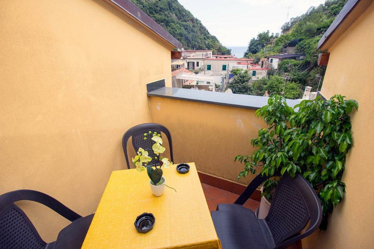 Lemons Coast Bed & Breakfast *